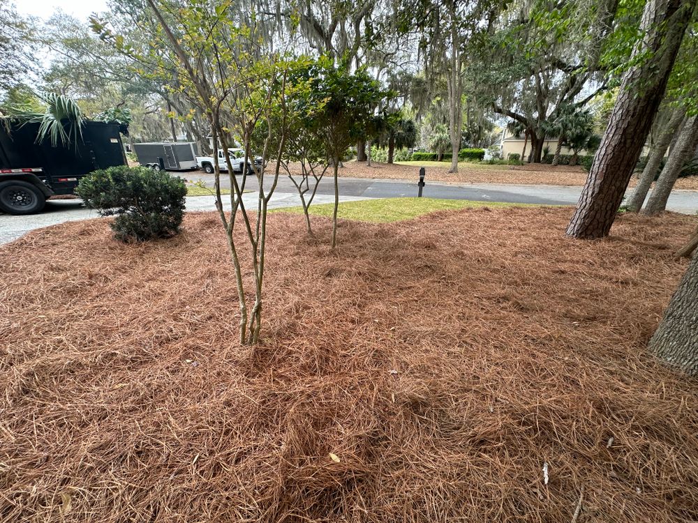 Pine Straw  for Coastalscapes Landscaping & Turf Management  in Savannah, GA