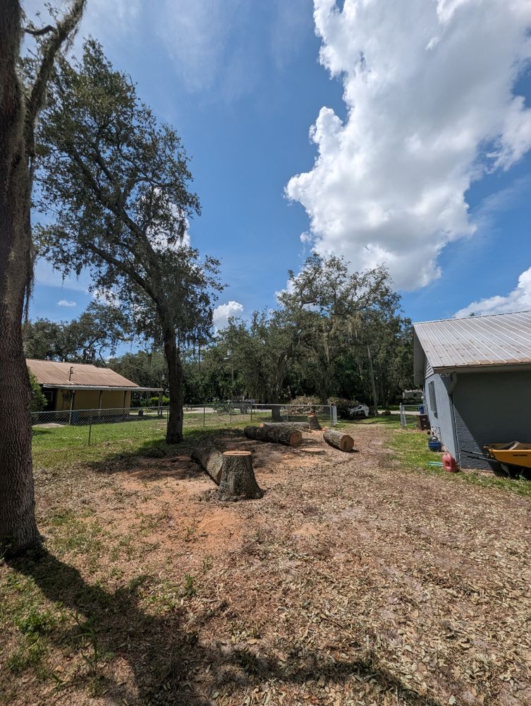 All Photos for Regal Tree Service and Stump Grinding in Wauchula, FL