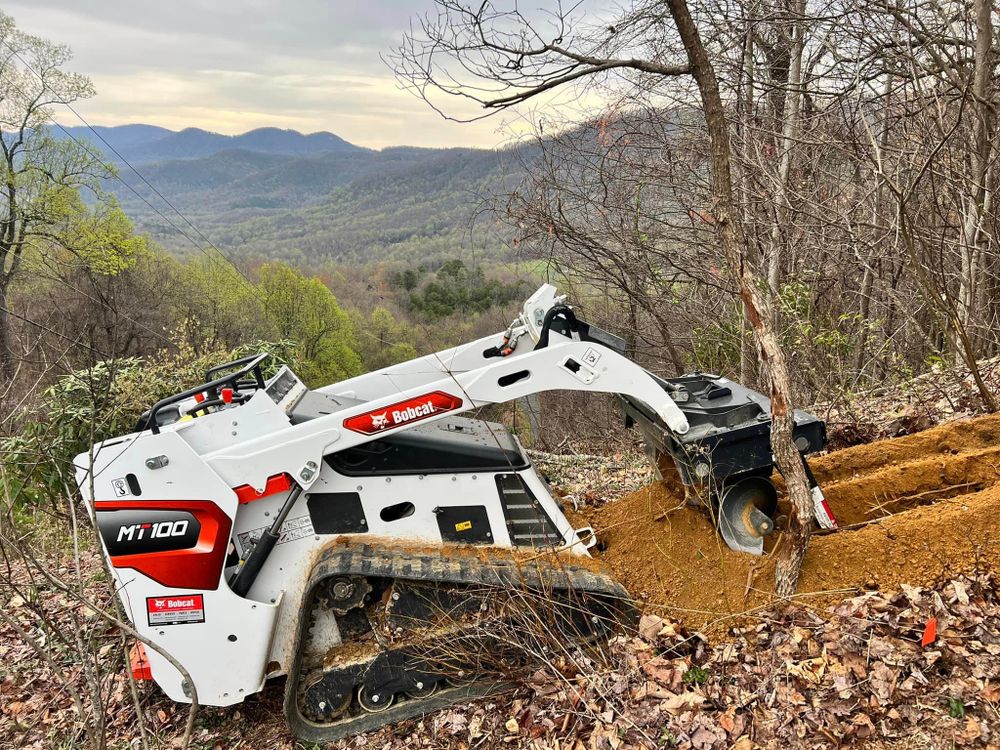 Tree Trimming & Removal for Elias Grading and Hauling in Black Mountain, NC