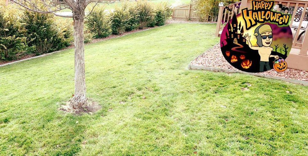 Enhance your lawn's health with our expert fertilization service, promoting lush growth and resilience. Our tailored treatments ensure nutrients are efficiently absorbed, providing vibrant greenery throughout every season for your landscape. for Rock Masters Inc. in Evans, CO