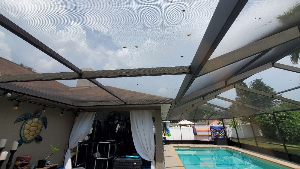 All Photos for Armas Pool Screen Replaced Pressure Wash and Painting LLC in Clair Mel, FL