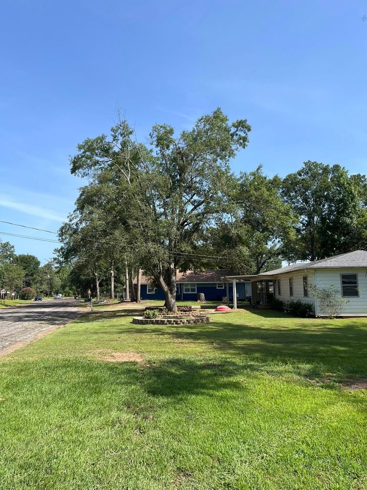 All Photos for JC Land and Tree Service in Kilgore, TX