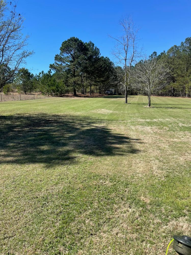 Landscaping for Sparks Landscaping in Augusta, GA