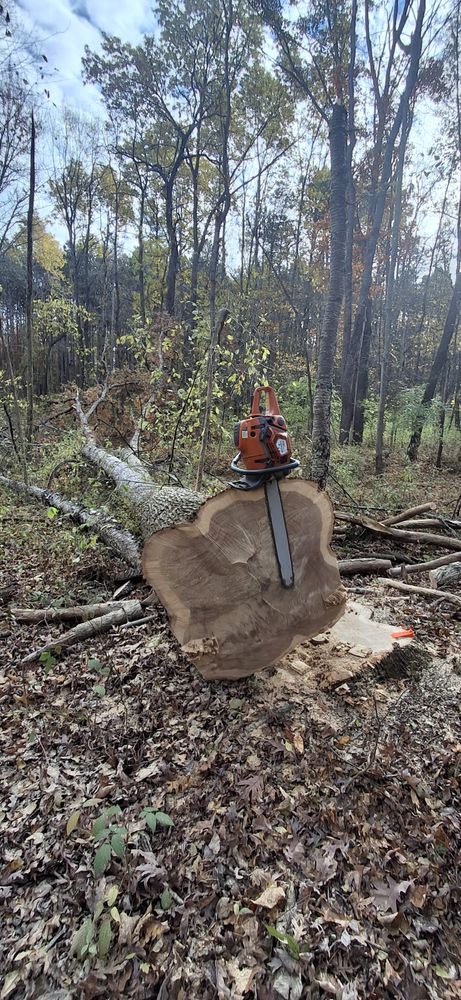 All Photos for God's Country Timber Management in Hillsdale, MI