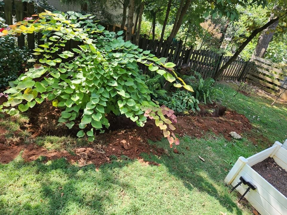 All Photos for AW Irrigation & Landscape in Greer, SC