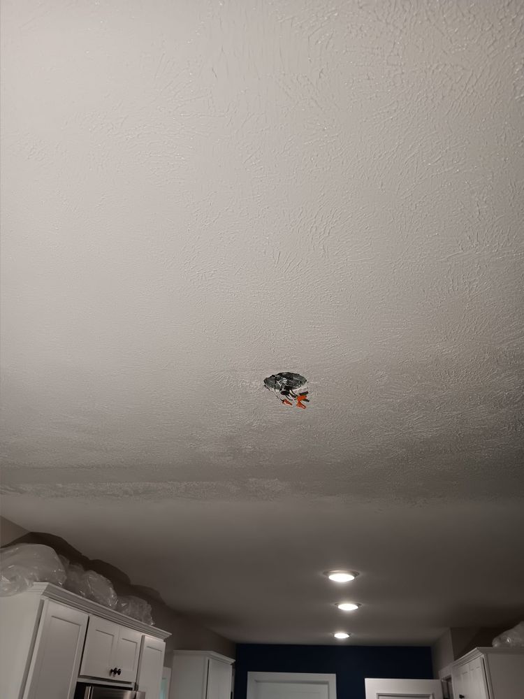 Subfloor repair and Beam Shoring for Dead Tree General Contracting in Carbondale, Illinois