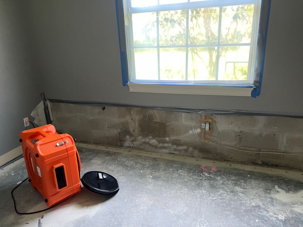 Mold Remediation for N&D Restoration Services When Disaster Attacks, We Come In in Cape Coral,  FL