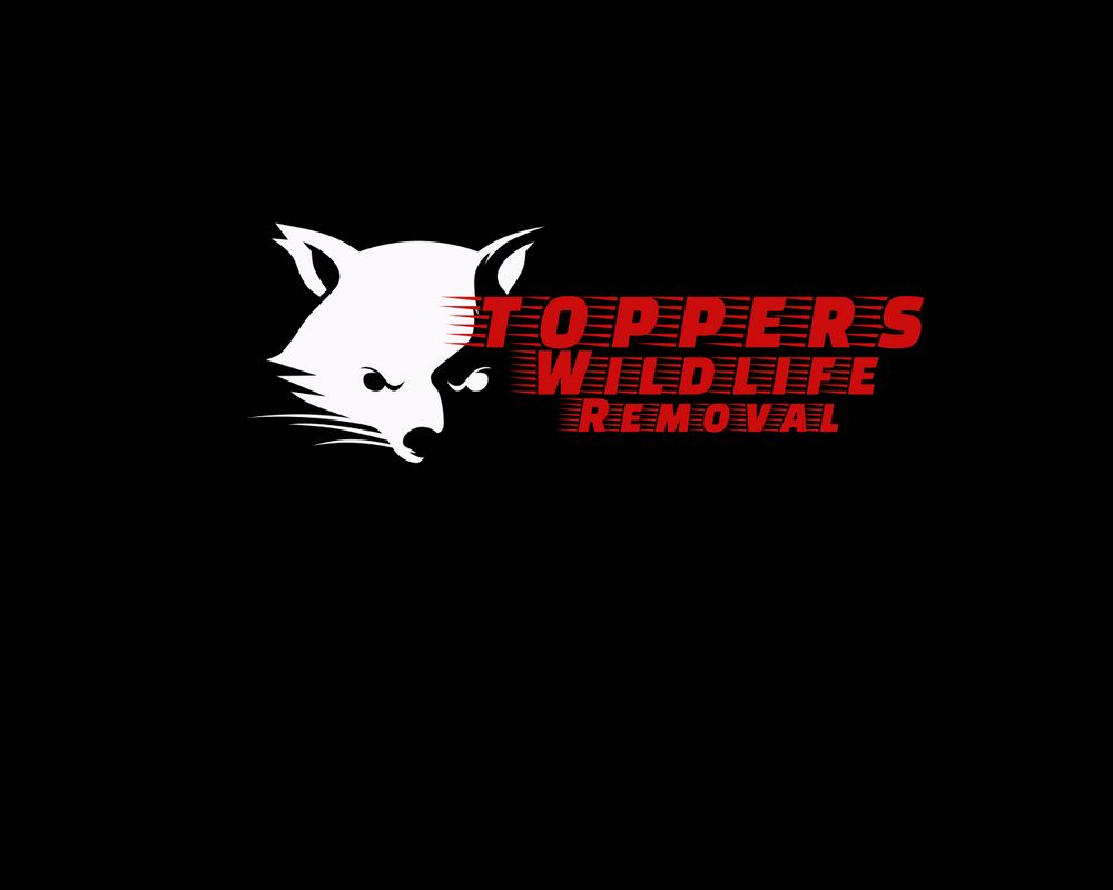 All Photos for Toppers Wildlife Removal in Garland, TX