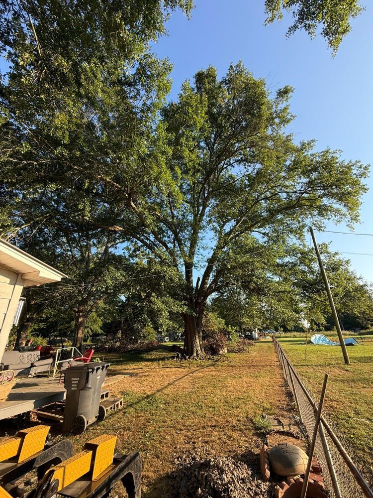 All Photos for Mud Creek Vegetation Management in Russellville, AL
