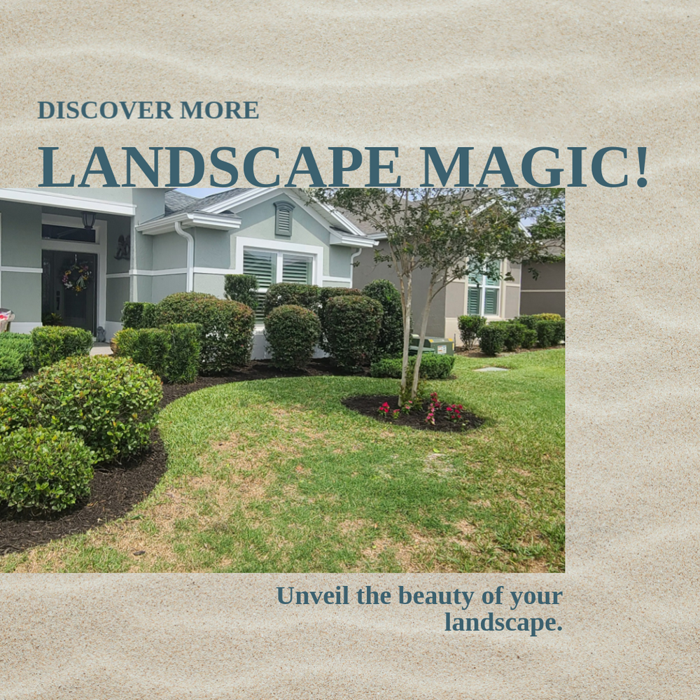 All Photos for TopNotch Landscaping Services  in The Villages, FL