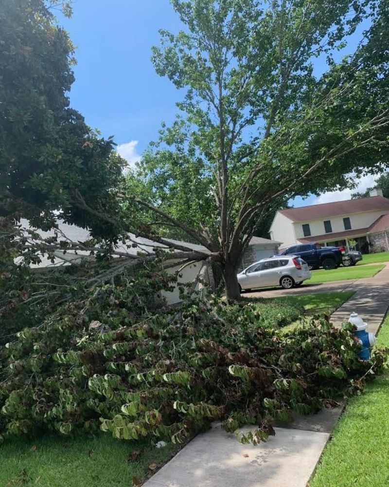 Enhance your property's safety and aesthetics with our professional tree removal service. We ensure safe, efficient removal while minimizing disruption, leaving your landscape clear and ready for new possibilities. for Exclusive Demolition & Tree Service in Houston, TX