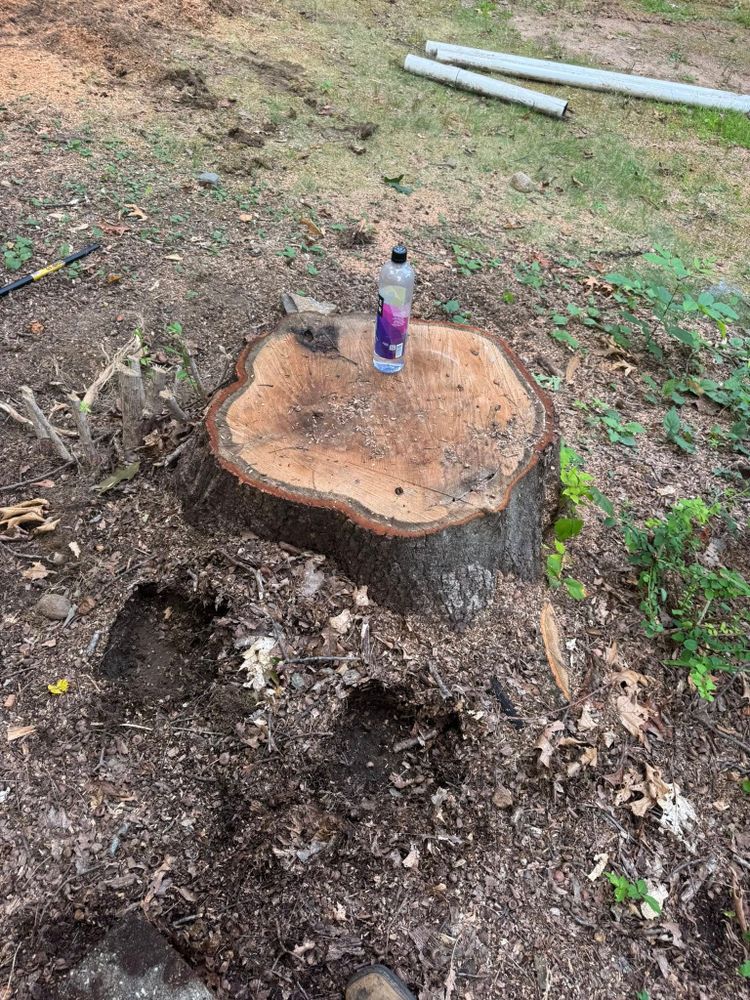 Our stump removal service efficiently eliminates unsightly tree stumps, enhancing your landscape's appearance and health. Trust our experts for safe, thorough removal with minimal disruption to your yard. for Jills Stump Grinding and Firewood in Shelton, CT