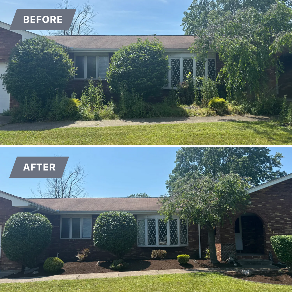 Before/After  for Leaps Landscaping LLC in Buffalo, NY