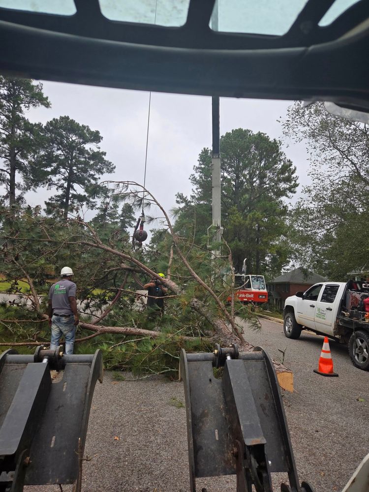 Our Tree Removal service offers safe, efficient removal of hazardous or unwanted trees by certified professionals, ensuring your property's beauty and safety with minimal disruption. Trust us for expertise and care. for Trees Unlimited of the CSRA in Augusta, GA