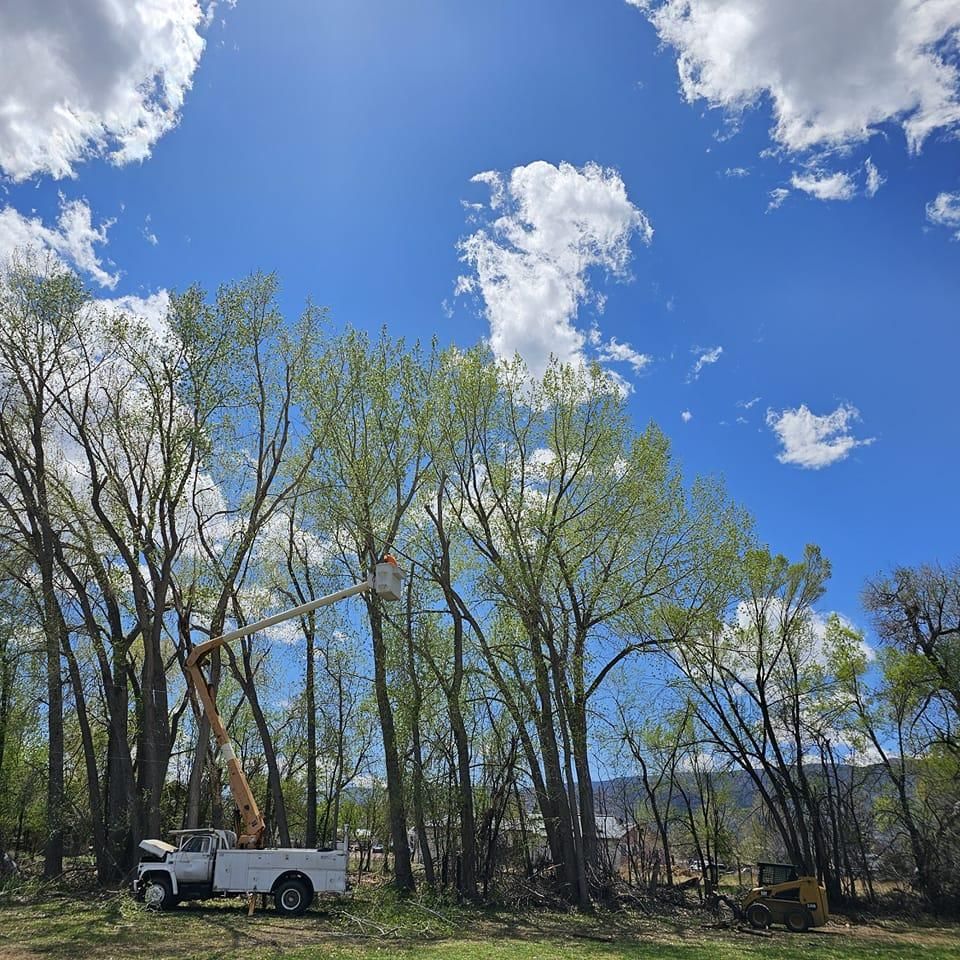 Other Services for Langston Tree & Landscape in Canon City, CO