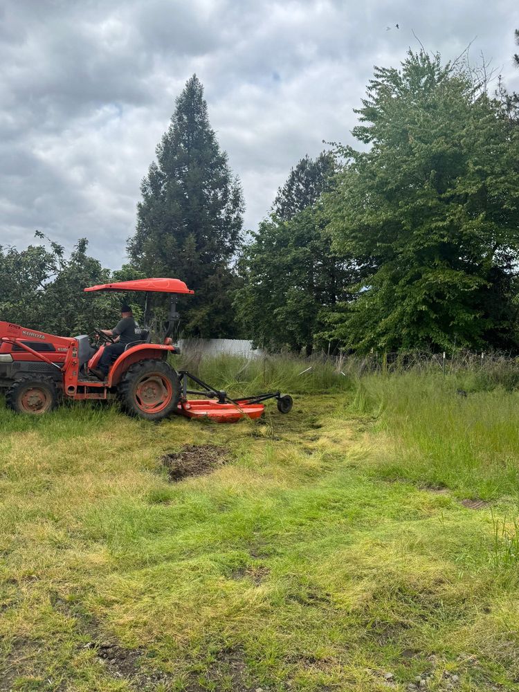 All Photos for Willamette Landscaping and Tree Services in Albany, OR