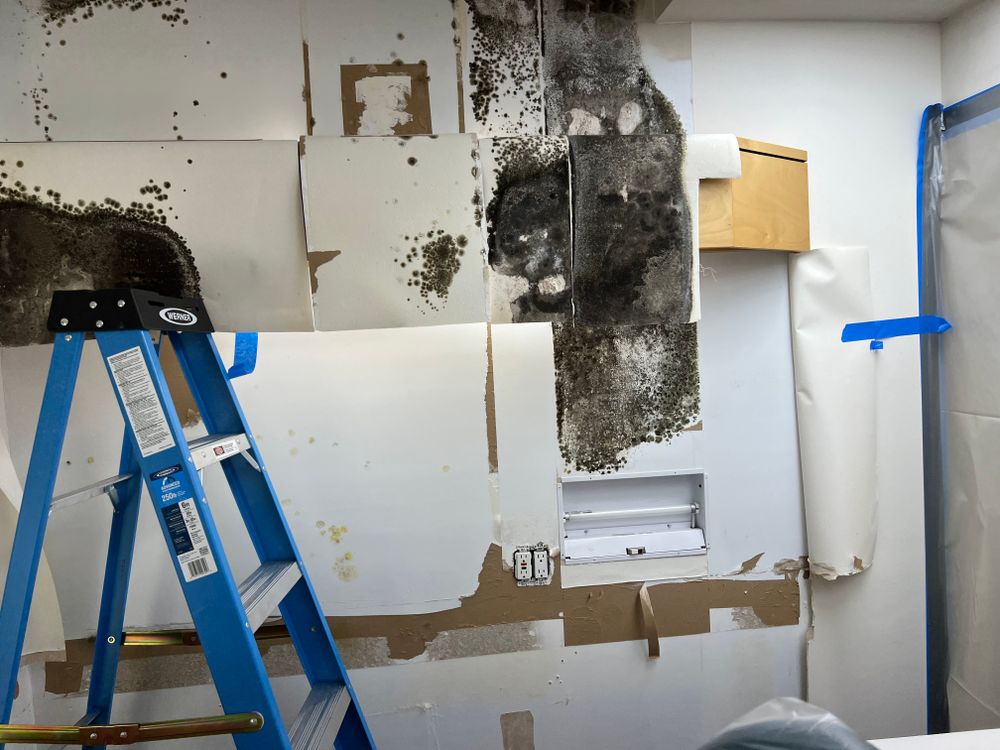 Mold Remediation for N&D Restoration Services When Disaster Attacks, We Come In in Cape Coral,  FL