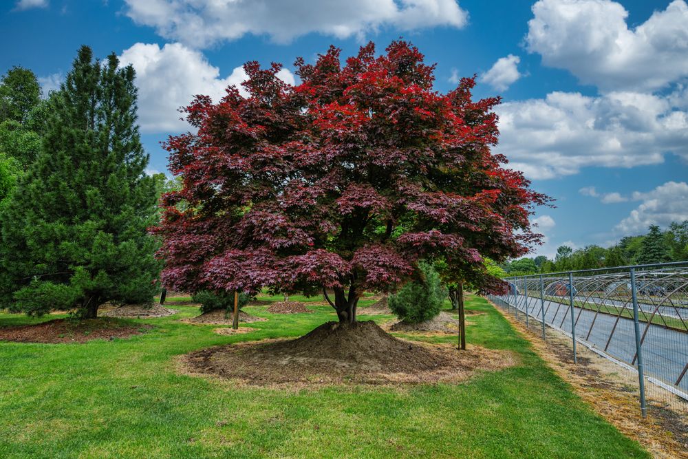 All Photos for  in Morristown, NJ