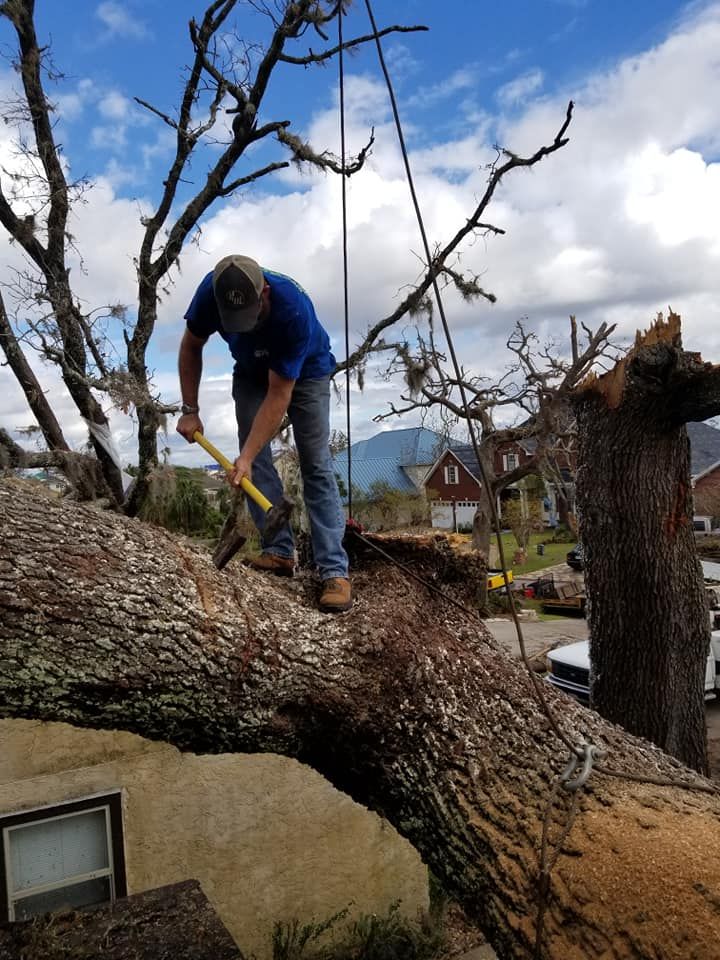 Tree Removal for Spruce Creek Tree Service in Port Orange, FL