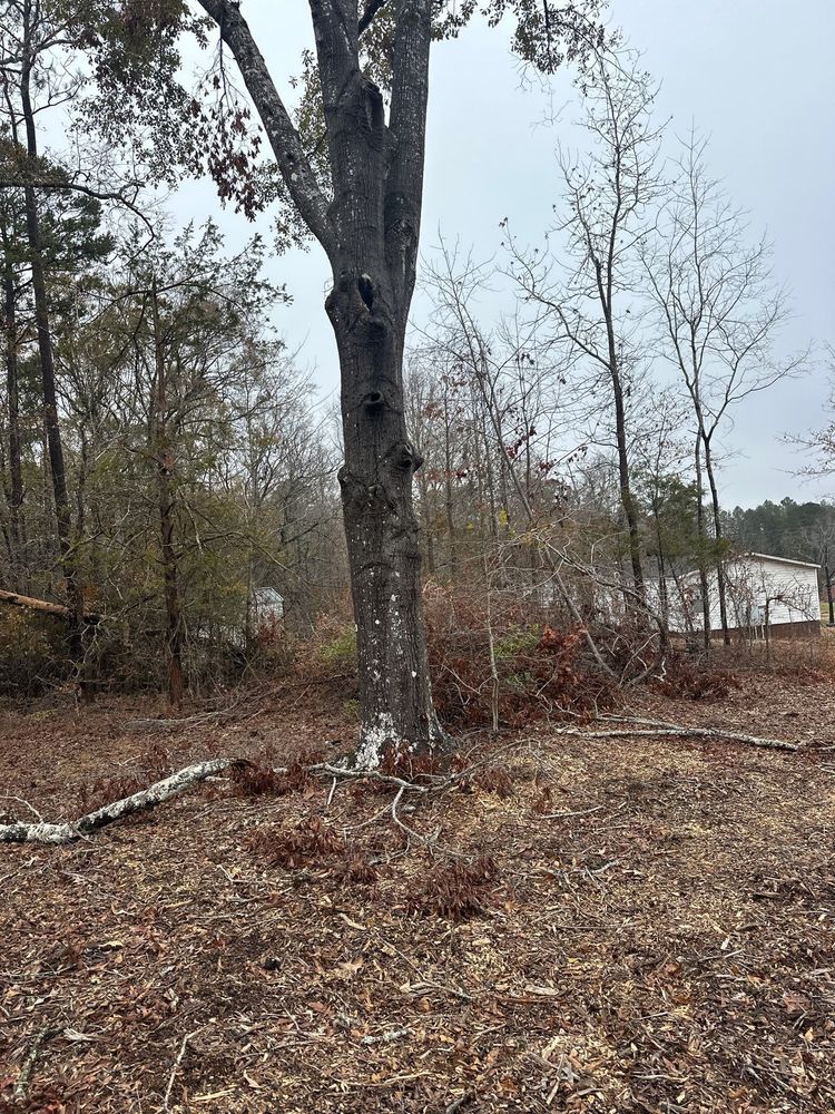 Tree Removal for Rescue Grading & Landscaping in Marietta, SC