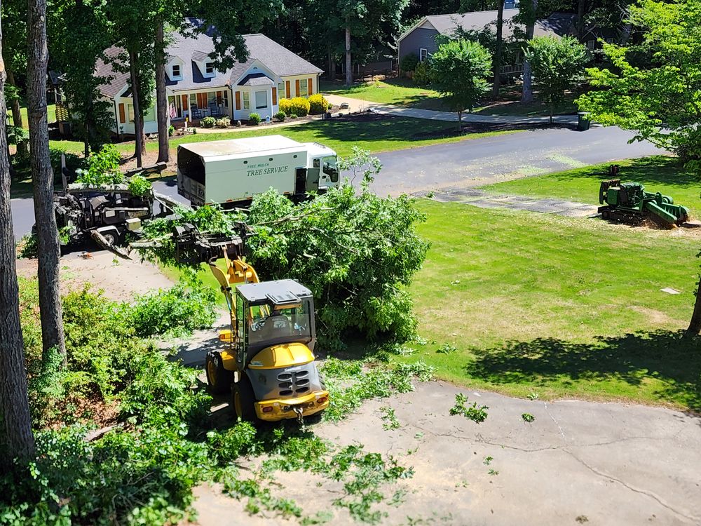 All Photos for Owens Tree Services in Inman, SC
