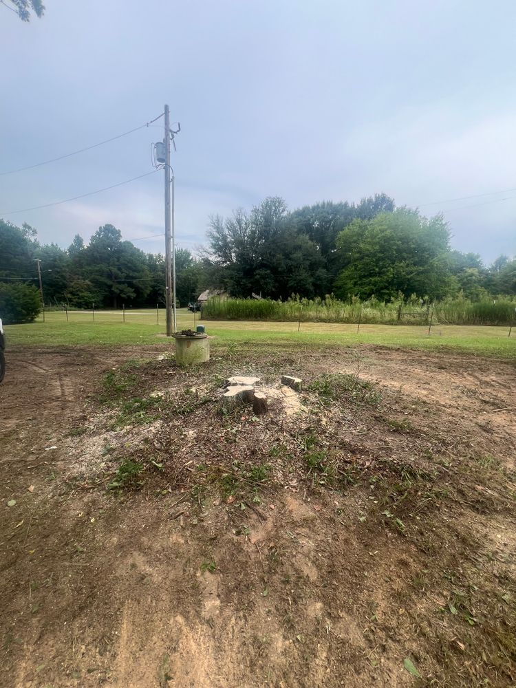 All Photos for Best Price Tree Service in Hallsville, TX