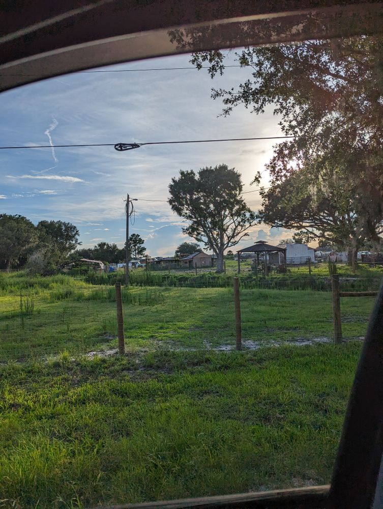 All Photos for Regal Tree Service and Stump Grinding in Wauchula, FL
