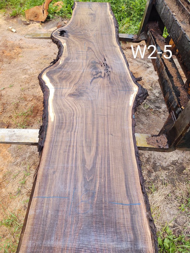 Wood Slabs for Bennett Logging in Gosport, Indiana