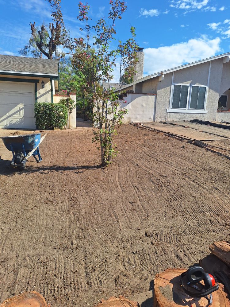 All Photos for Best Lawncare in Colton, CA