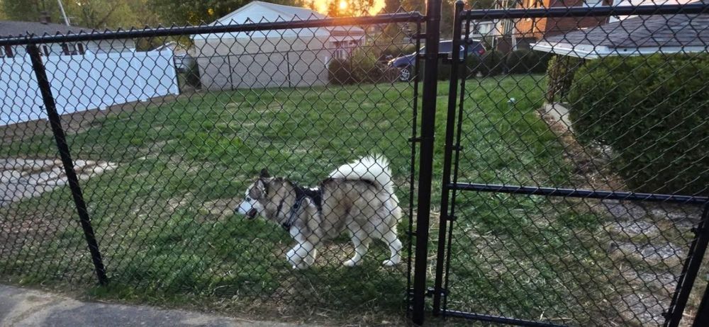 All Photos for Backyard Fence Solutions LLC in Uniontown, PA