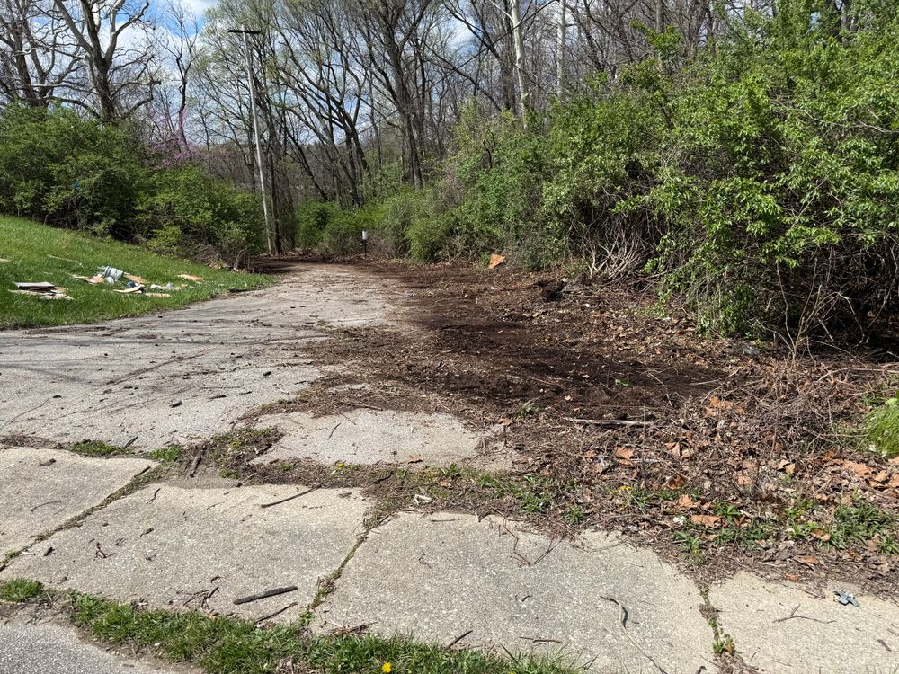 All Photos for A1 Bush Hogging & Lawn Service in London, OH