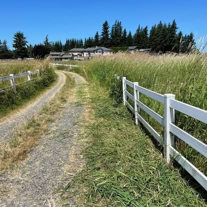 Enhance your home's curb appeal with our expert gravel driveway installation. Offering durability, affordability, and a natural aesthetic that complements any landscape—ideal for homeowners seeking functionality and charm. for Wilderness Stump Grinding in Orting, WA