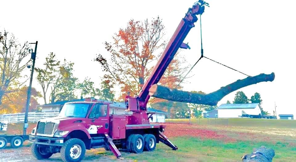 Tree Removal for Lamb Brothers Land Clearing in Murray, KY