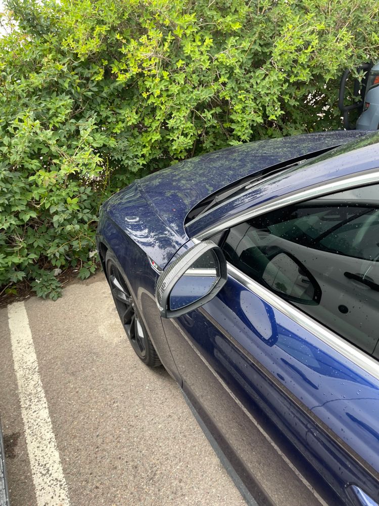 All Photos for Lux Car in Whitefish, MT