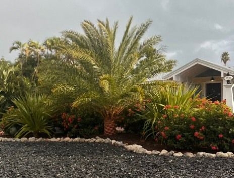 All Photos for Plant World LLC in Cape Coral, FL