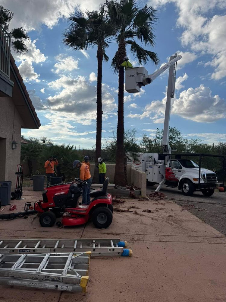 All Photos for By Faith Landscaping in Sierra Vista, AZ