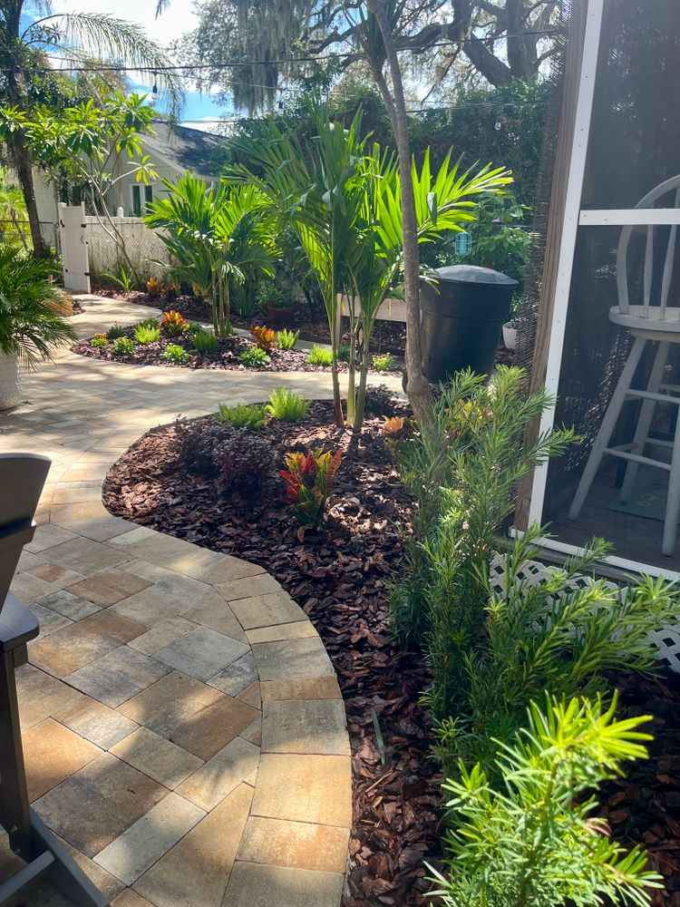 Landscaping for Verimay's Garden and Landscaping in Hillsborough County, FL