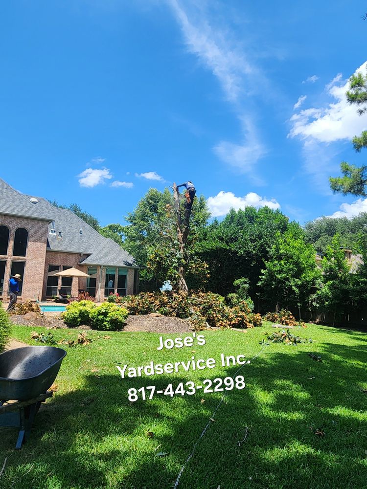 All Photos for Jose's Yardservice in Keller, TX