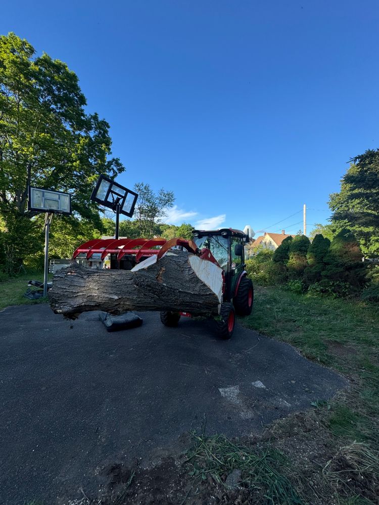 All Photos for Hennessey Tree & Landscape LLC in Oxford,  CT 