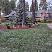 Property Clearance for MJA Lares Landscaping in Chico, CA