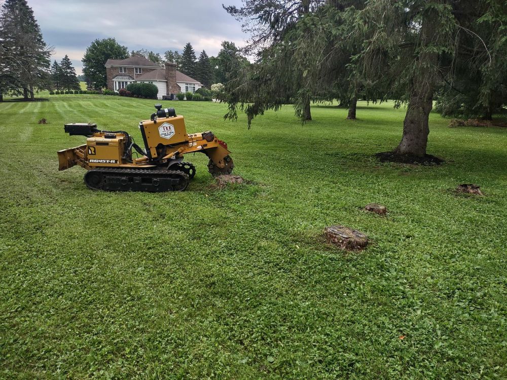 All Photos for TH Property Service, LLC in Manlius, NY