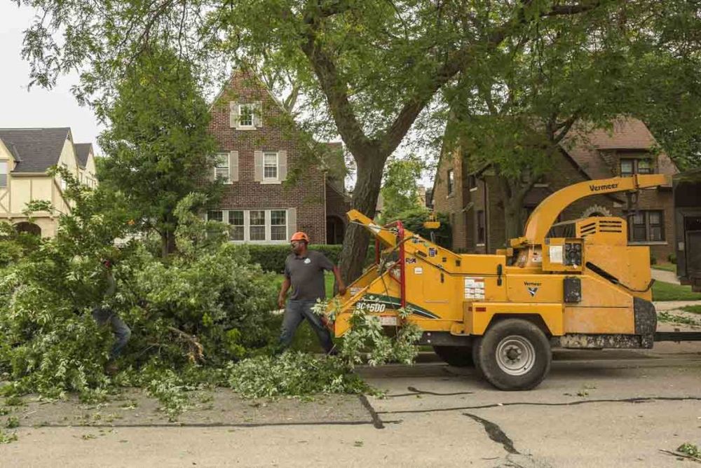 Tree Removal for Forester Tree Care in Tool,  TX