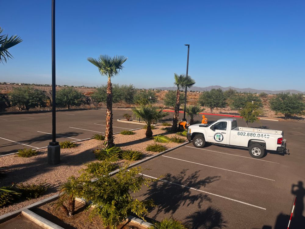 Commercial Gravel Installation for AZ Tree & Hardscape Co in Surprise, AZ