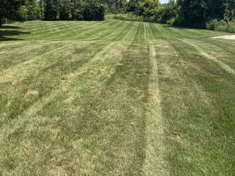 Landscaping Lawn Care for Daugherty's Tough Lawn Care in Essexville, MI