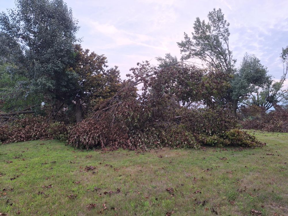 Emergency Storm Work for Highborn Tree Service in Wheatfield, IN