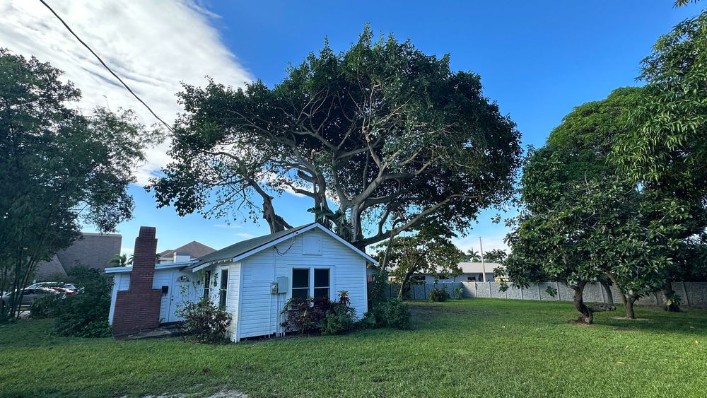 Landscaping for South Florida Terra Systems in Boynton beach ,  FL