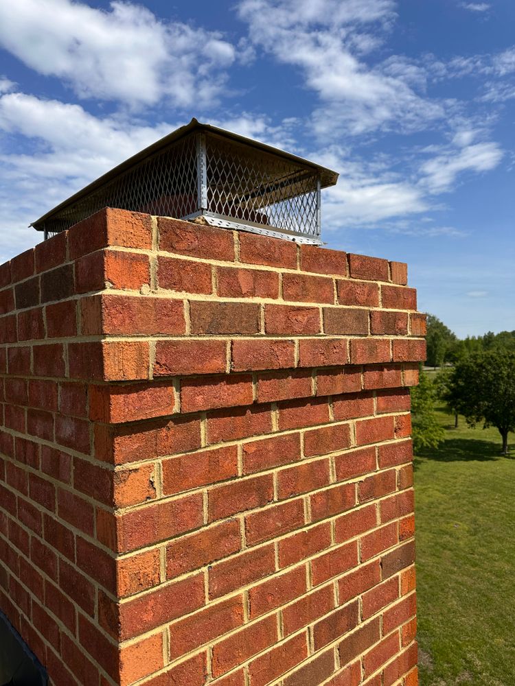All Photos for LeafTide Solutions in Richmond, VA