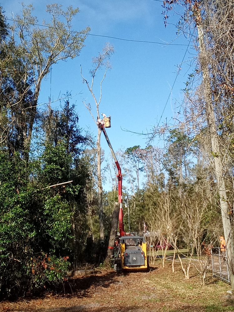 All Photos for Asbell's Tree & Land Services in Gilchrist County, FL