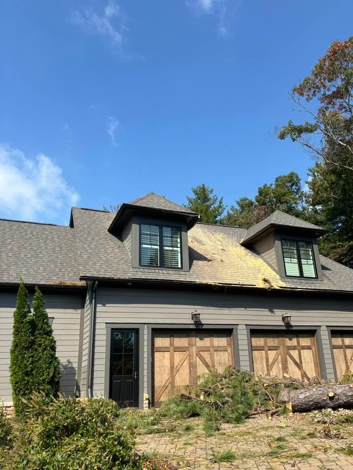 Tree Removal for Andy's Tree Service in Zirconia, NC