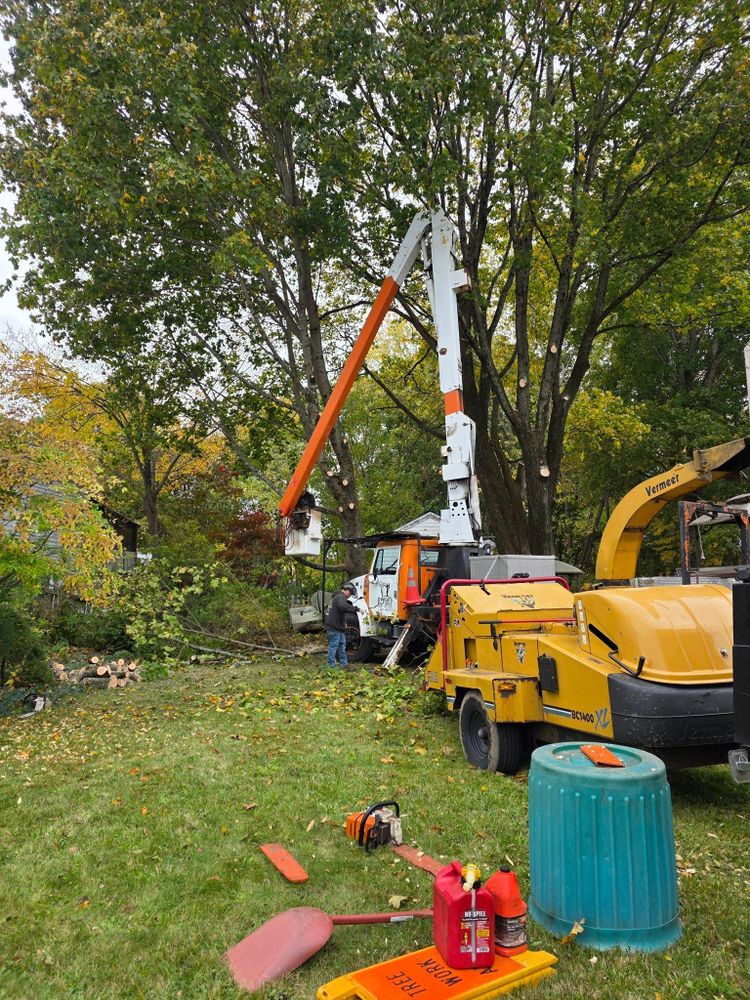 All Photos for Dwights Tree Service in Middleborough, MA
